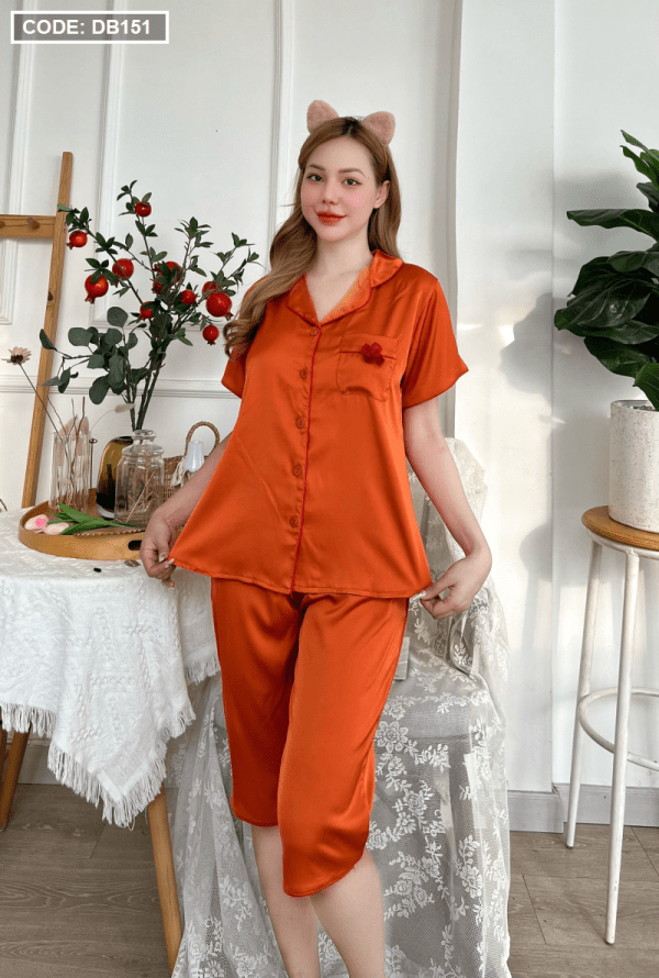Đồ bộ nữ pijama tay ngắn quần lỡ latin xịn - DB151